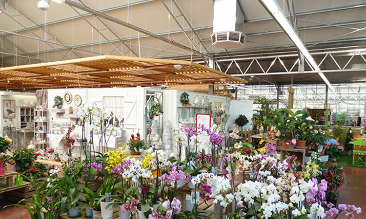 Flower Planting Greenhouse Ventilation
